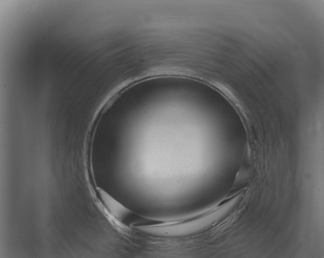 X0000076041438200610061432