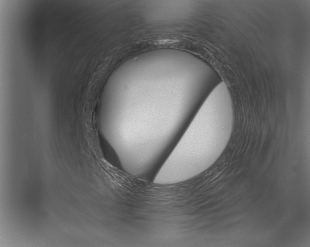 X0000076041441200610061432