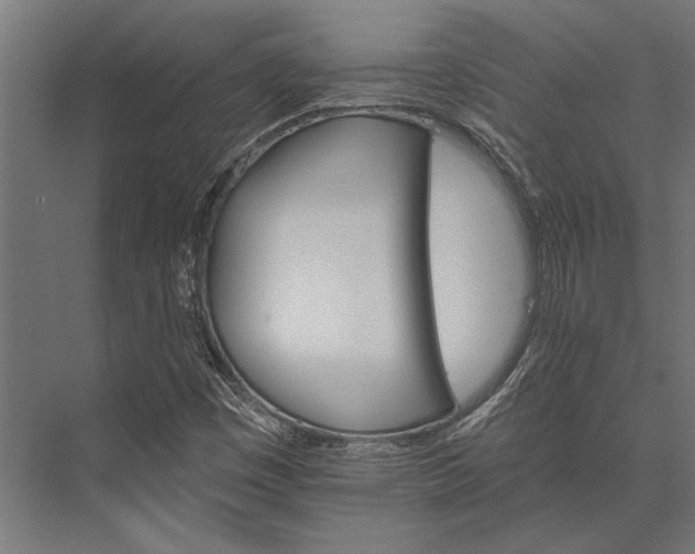 X0000076041449200610061432