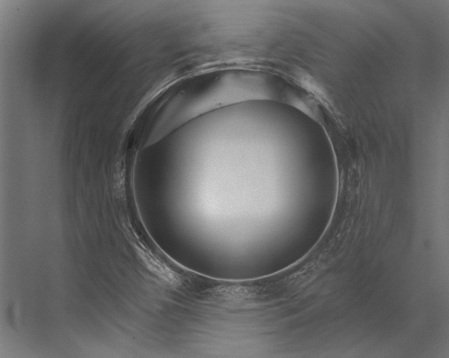 X0000076041450200610061432