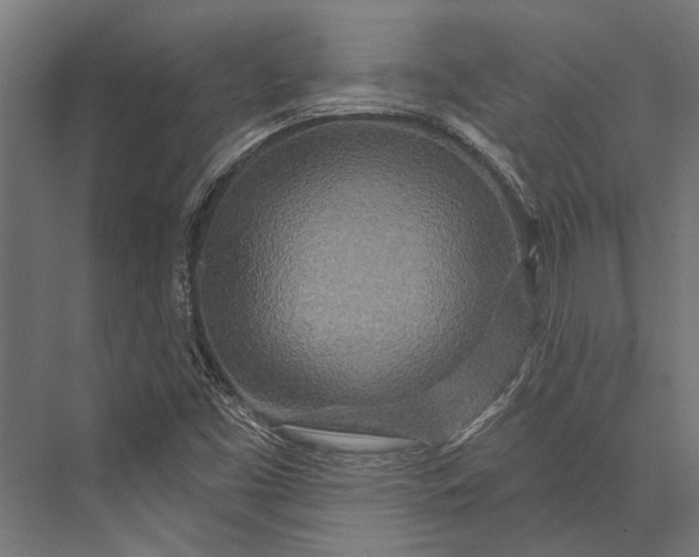 X0000076041453200610061431