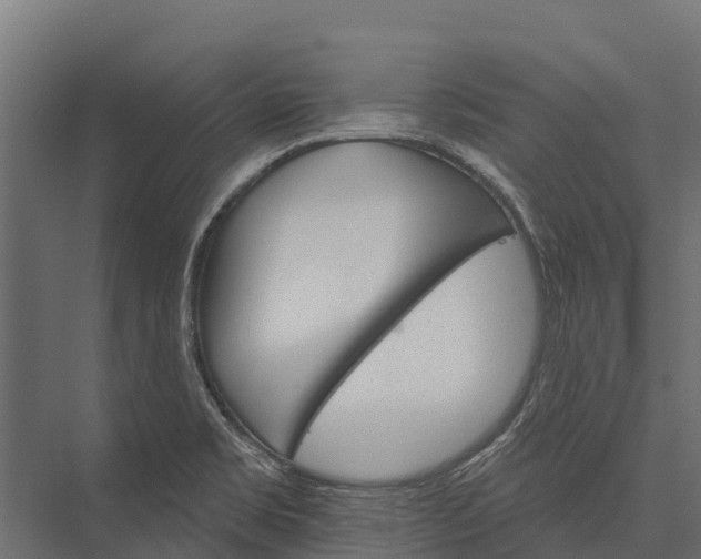 X0000076041469200610061431