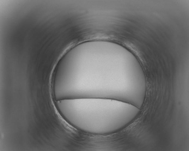 X0000076041475200610061431