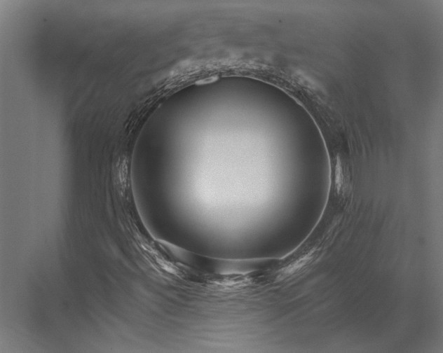 X0000076041492200610061430