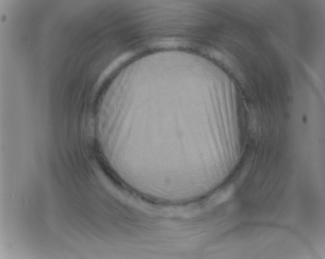 X0000076040016200610152124