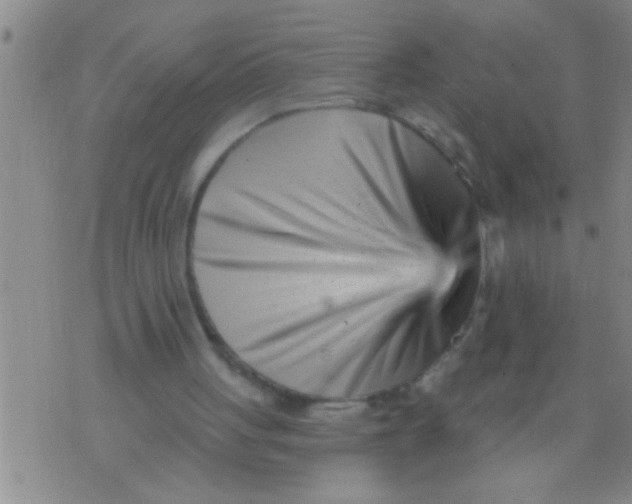 X0000076040051200610152122