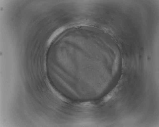 X0000076040054200610152122