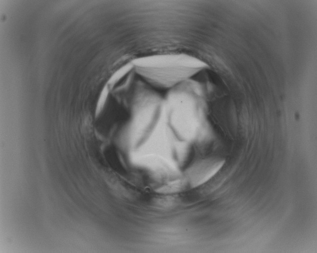 X0000076040079200610152123