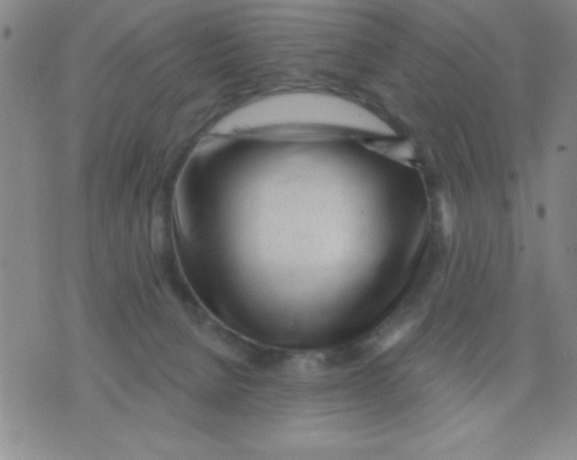 X0000076040080200610152123