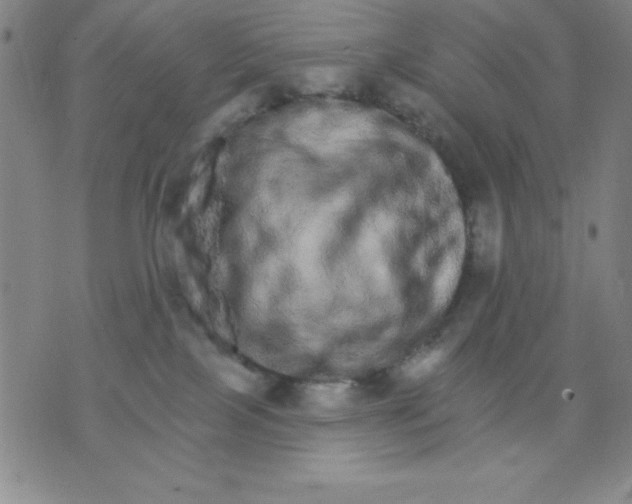 X0000076040089200610152123