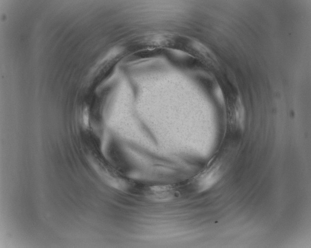 X0000076040095200610152123