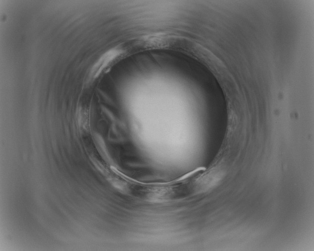 X0000076040096200610152123