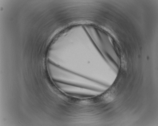 X0000076040111200610152122