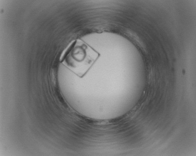 X0000076040121200610152122