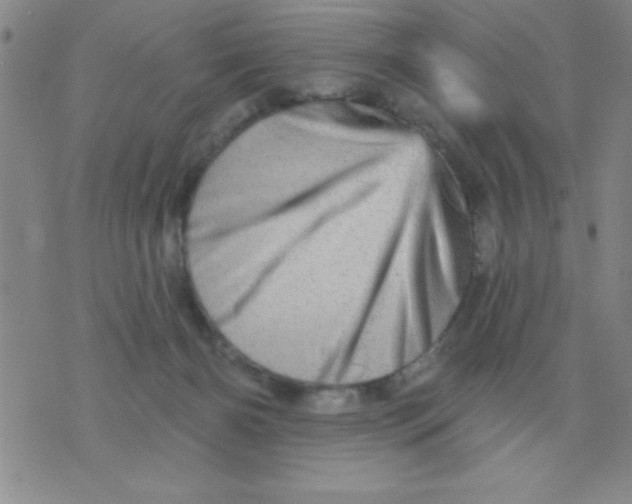 X0000076040126200610152122
