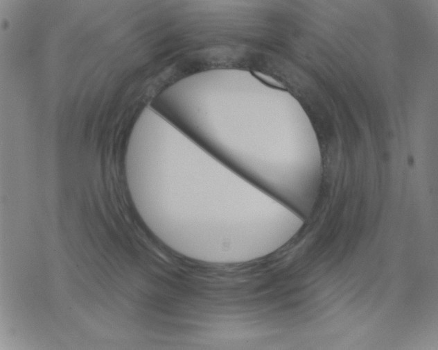 X0000076040137200610152122