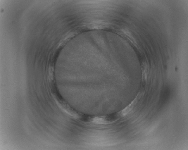 X0000076040171200610152121