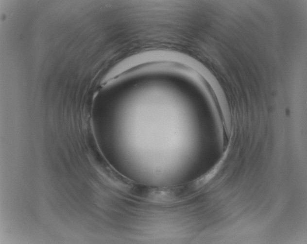 X0000076040174200610152121