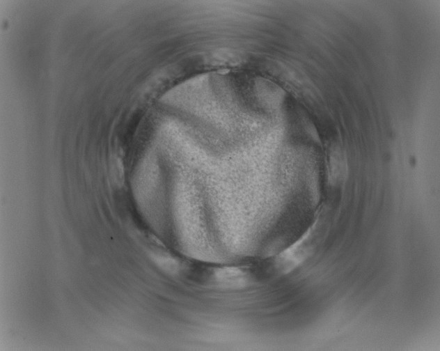 X0000076040183200610152121