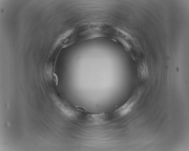 X0000076040188200610152121