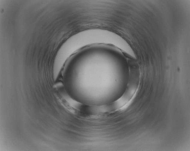 X0000076040190200610152122