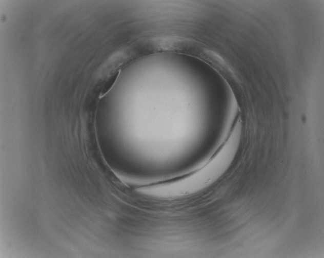 X0000076040217200610152120