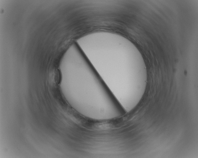 X0000076040219200610152120
