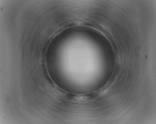 X0000076040221200610152120