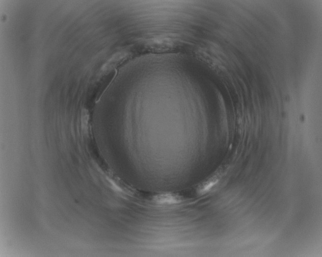 X0000076040231200610152120