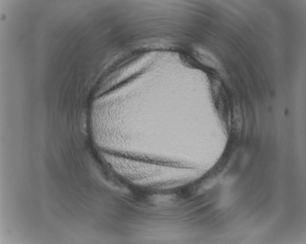 X0000076040255200610152119