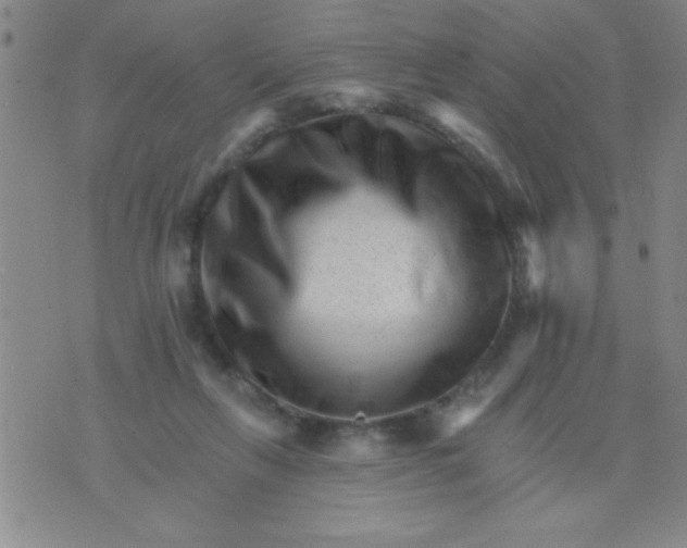 X0000076040263200610152120