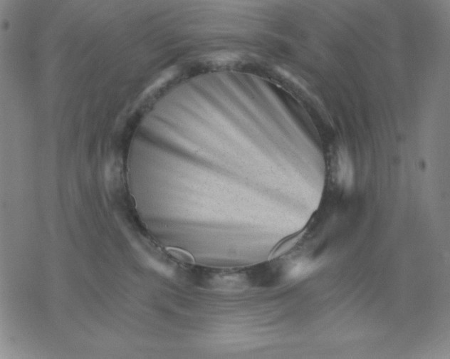 X0000076040283200610152120