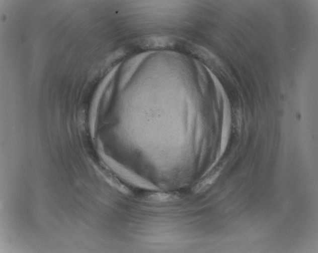 X0000076040326200610152119