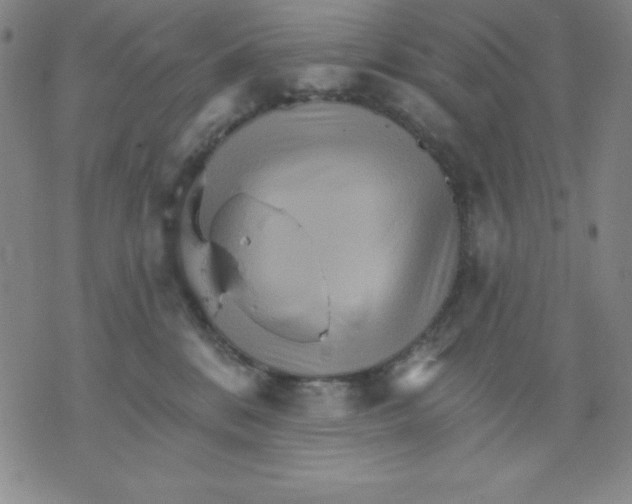 X0000076040328200610152119