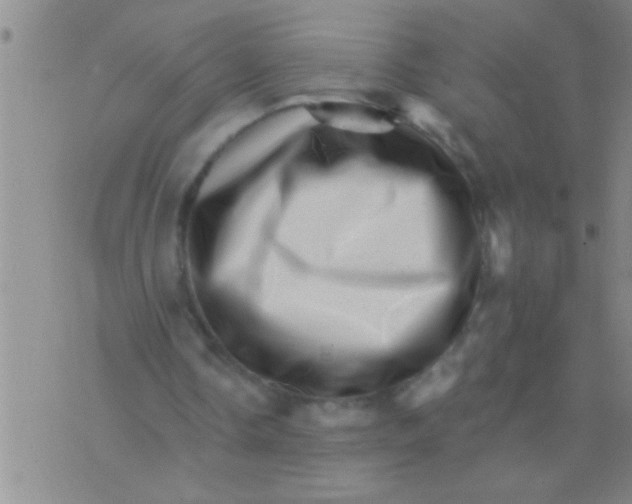 X0000076040338200610152118