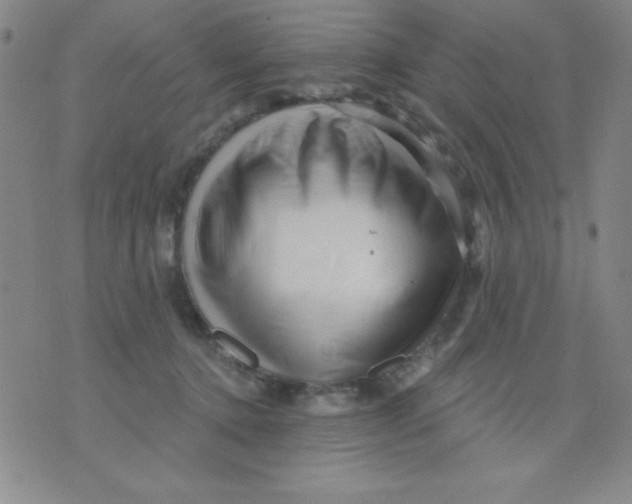 X0000076040368200610152118