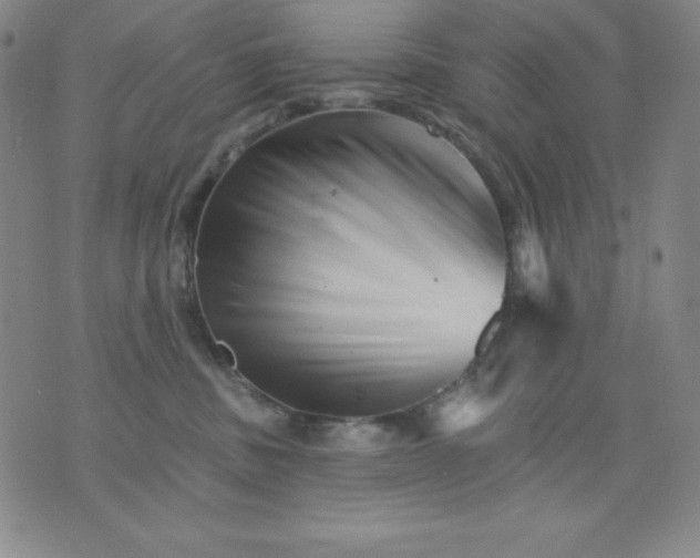 X0000076040379200610152118