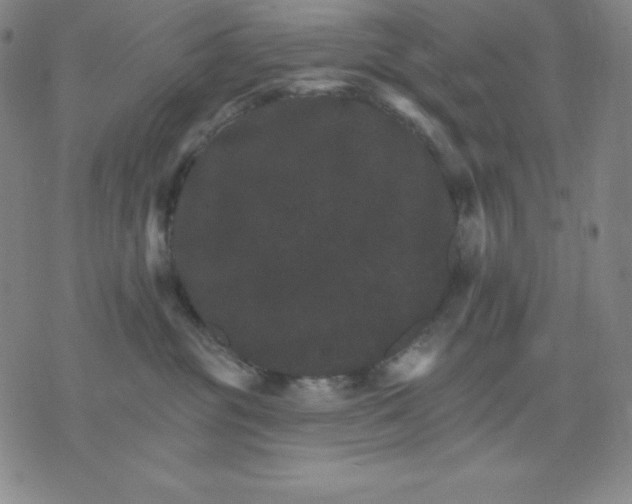 X0000076040381200610152118
