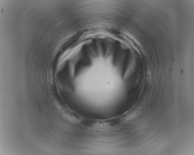 X0000076040403200610152117