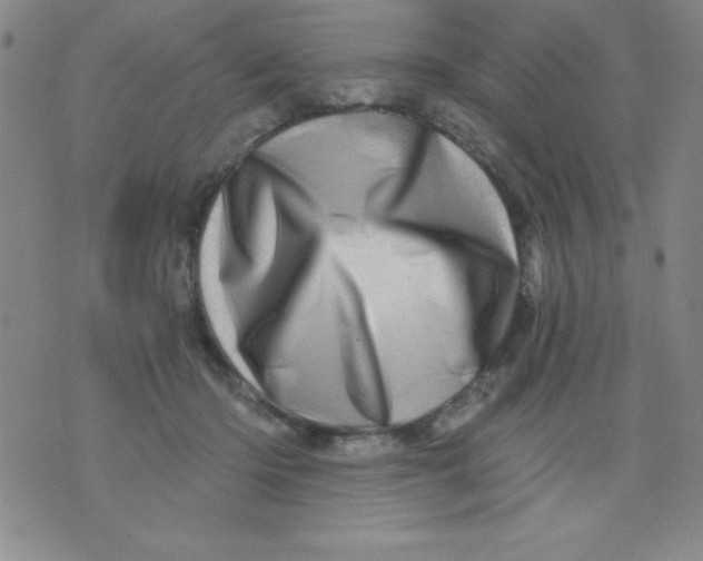 X0000076040414200610152117