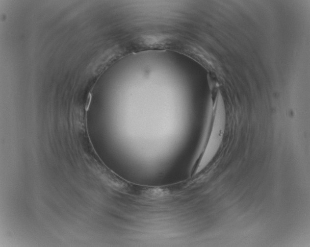 X0000076040421200610152117