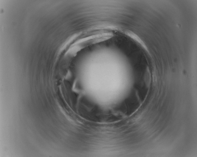 X0000076040436200610152116