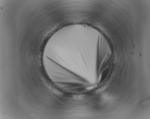 X0000076040450200610152116