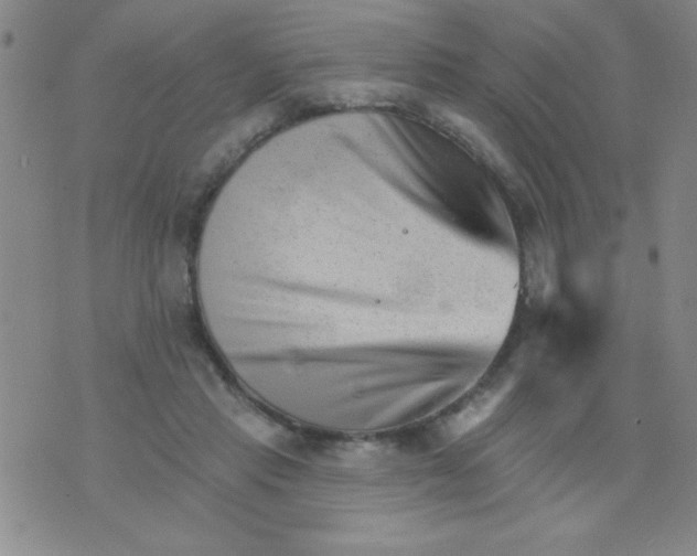 X0000076040453200610152116