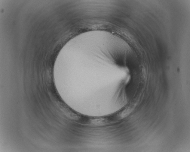 X0000076040461200610152117