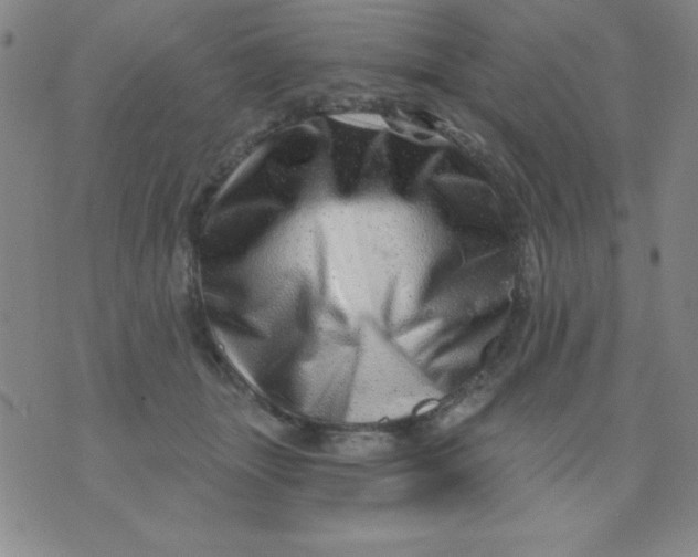 X0000076040463200610152117