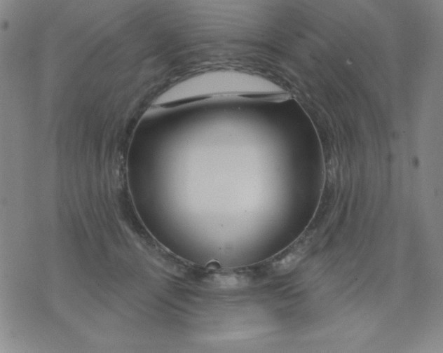X0000076040464200610152117