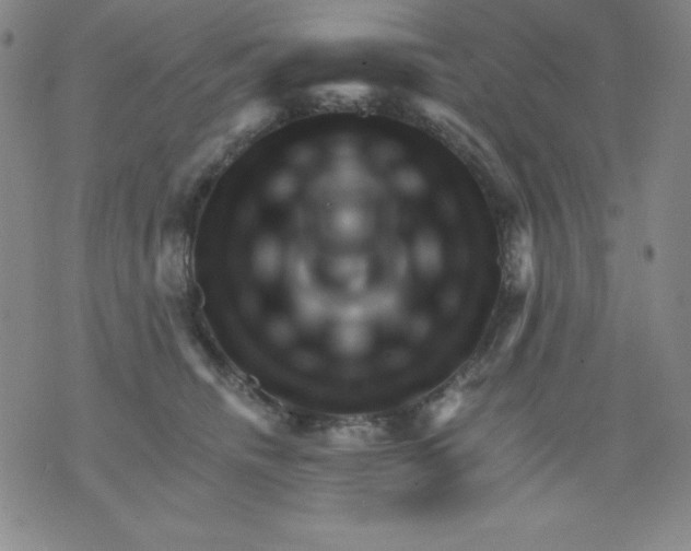 X0000076040468200610152117