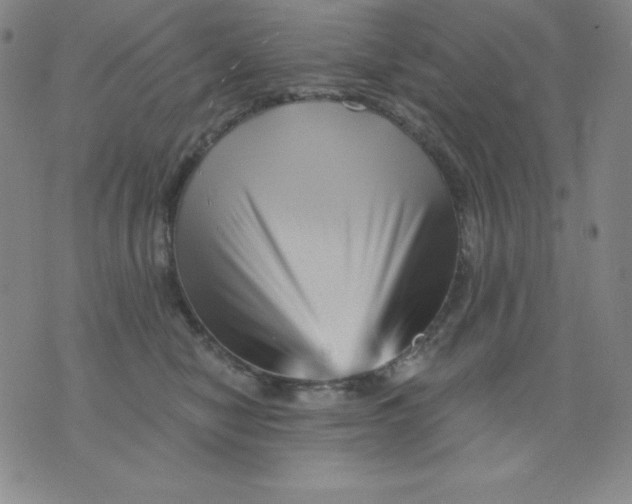 X0000076040470200610152117