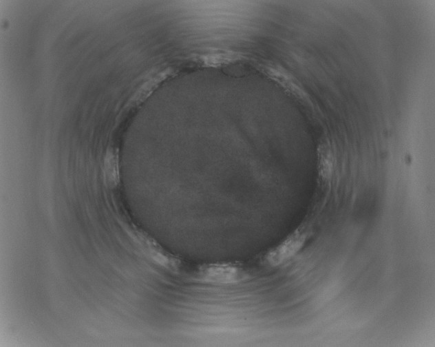 X0000076040471200610152117